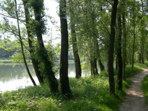 Berges du Rhône à Grigny